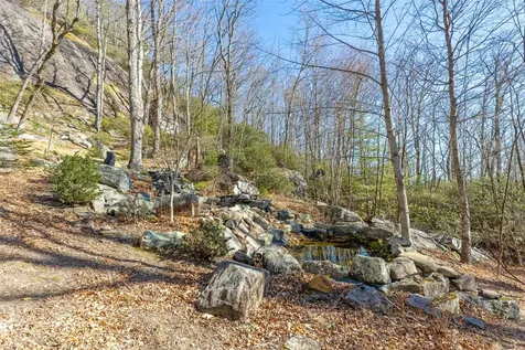 1454 Spring Forest Road Sapphire NC 28774