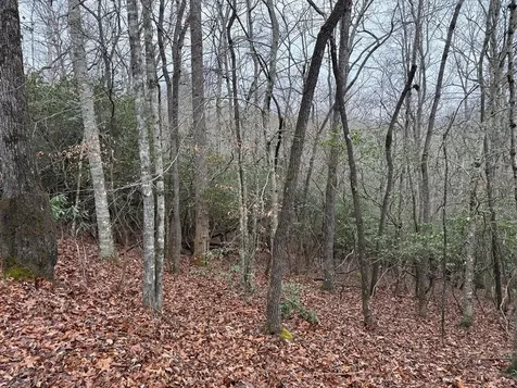 Lot 24 Ideal Acres Otto NC 28763
