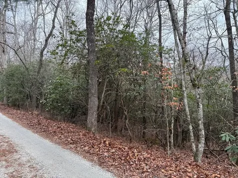 Lot 24 Ideal Acres Otto NC 28763