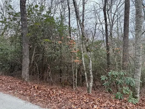 Lot 24 Ideal Acres Otto NC 28763