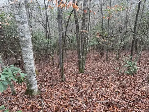 Lot 24 Ideal Acres Otto NC 28763