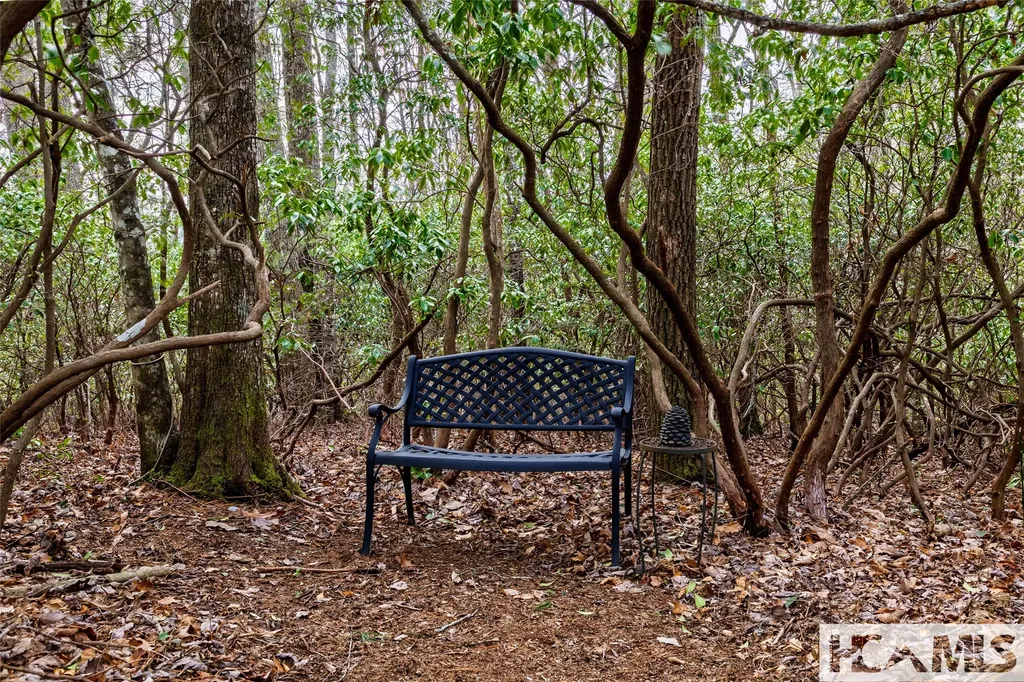 885 Hickory Drive Sapphire NC 28774