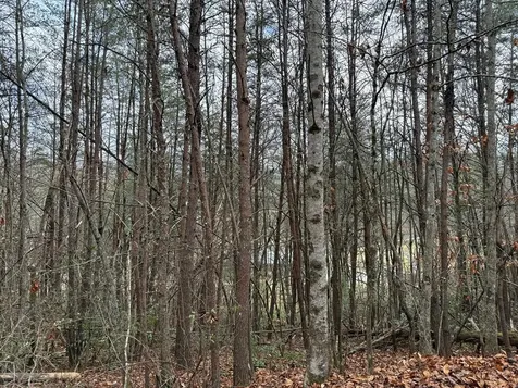 Lot 28 Ideal Acres Otto NC 28763