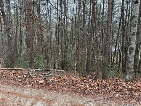 Lot 28 Ideal Acres Otto NC 28763