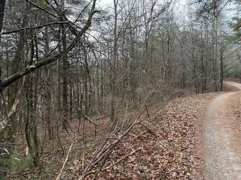 Lot 28 Ideal Acres Otto NC 28763
