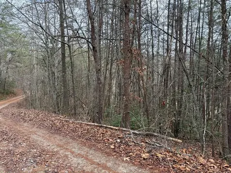 Lot 28 Ideal Acres Otto NC 28763