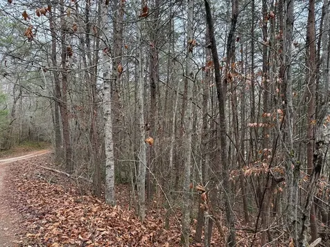 Lot 28 Ideal Acres Otto NC 28763
