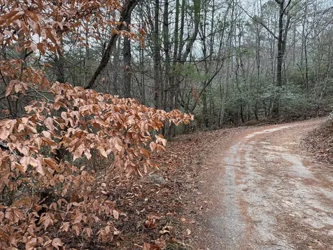Lot 27 Ideal Acres Otto NC 28763