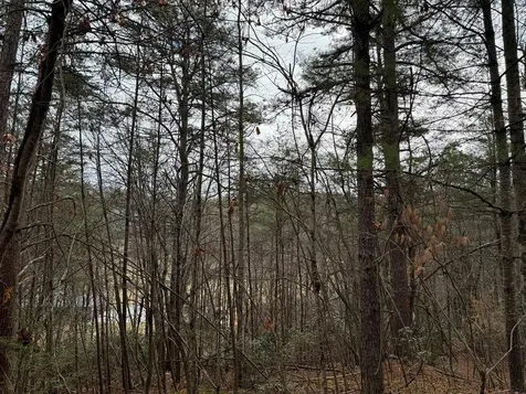 Lot 27 Ideal Acres Otto NC 28763