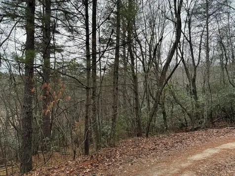 Lot 27 Ideal Acres Otto NC 28763