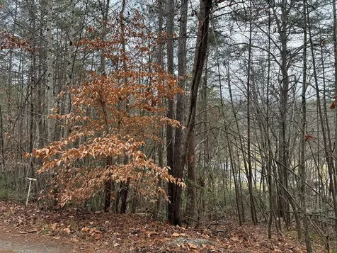 Lot 27 Ideal Acres Otto NC 28763