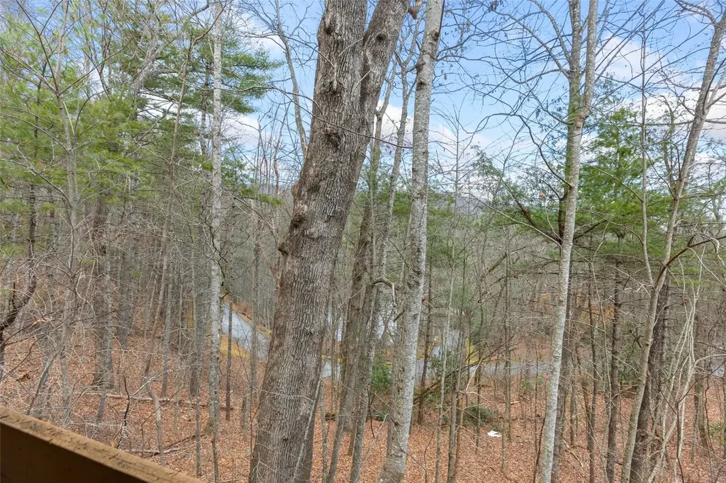 84 Emerald Road Sapphire NC 28774