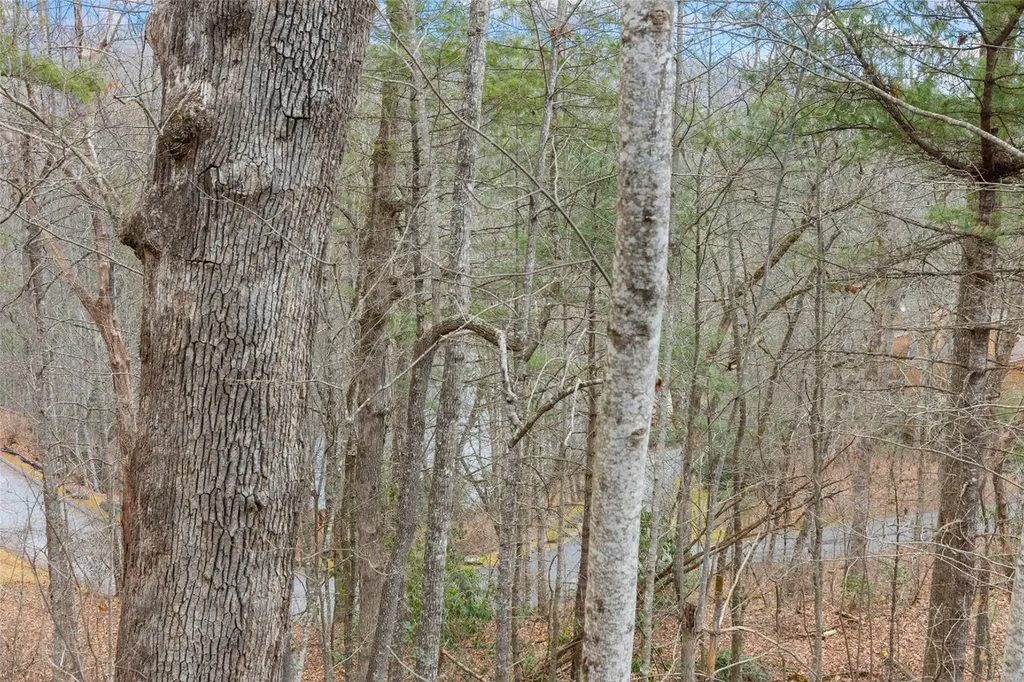 84 Emerald Road Sapphire NC 28774