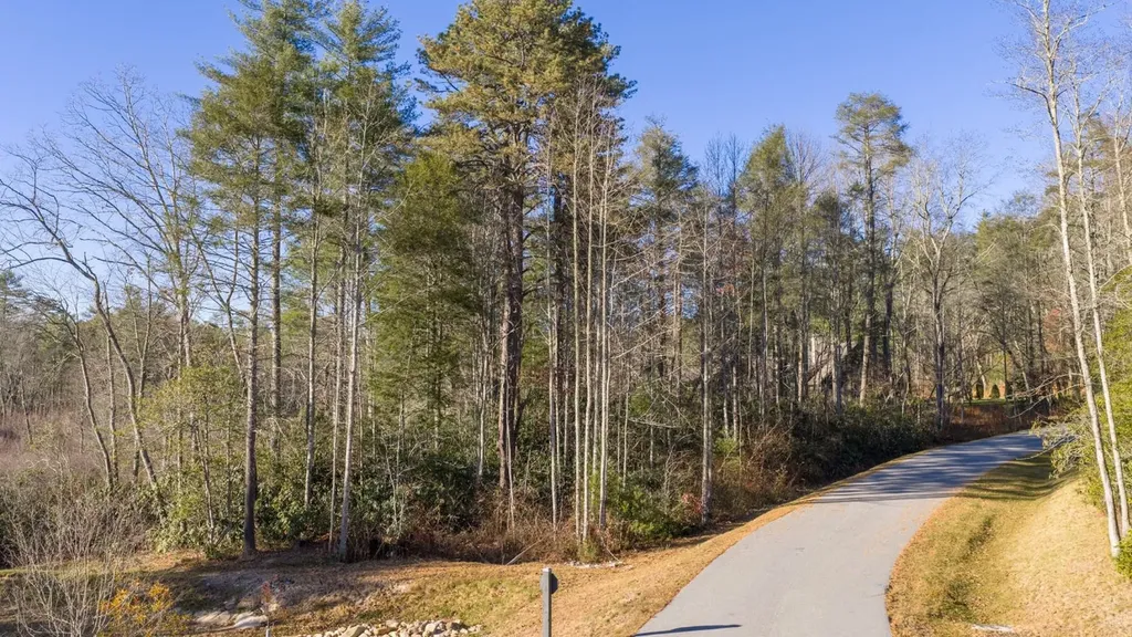 59 Bottlebrush Lane Cashiers NC 28717