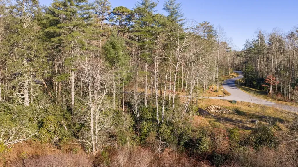 59 Bottlebrush Lane Cashiers NC 28717