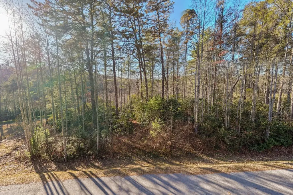 59 Bottlebrush Lane Cashiers NC 28717