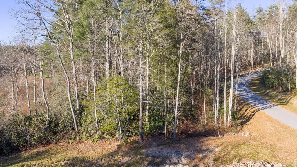 59 Bottlebrush Lane Cashiers NC 28717