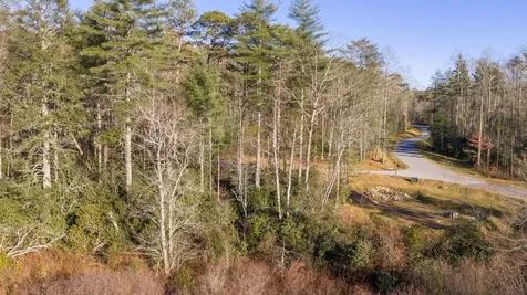 59 Bottlebrush Lane Cashiers NC 28717