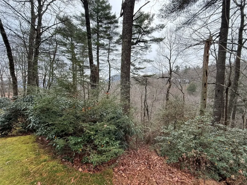 187 Lost Trail Highlands NC 28741