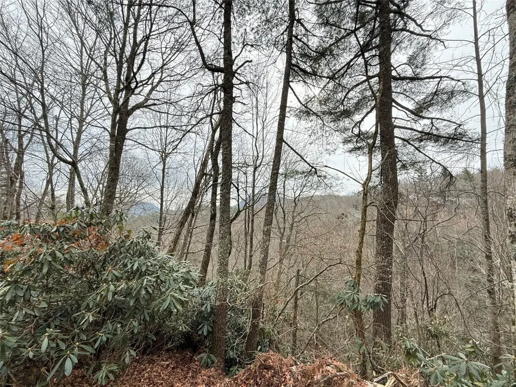 187 Lost Trail Highlands NC 28741
