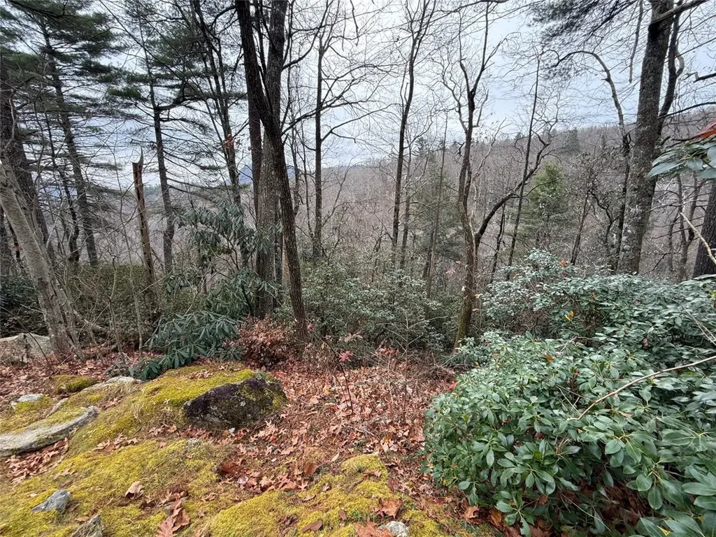 187 Lost Trail Highlands NC 28741