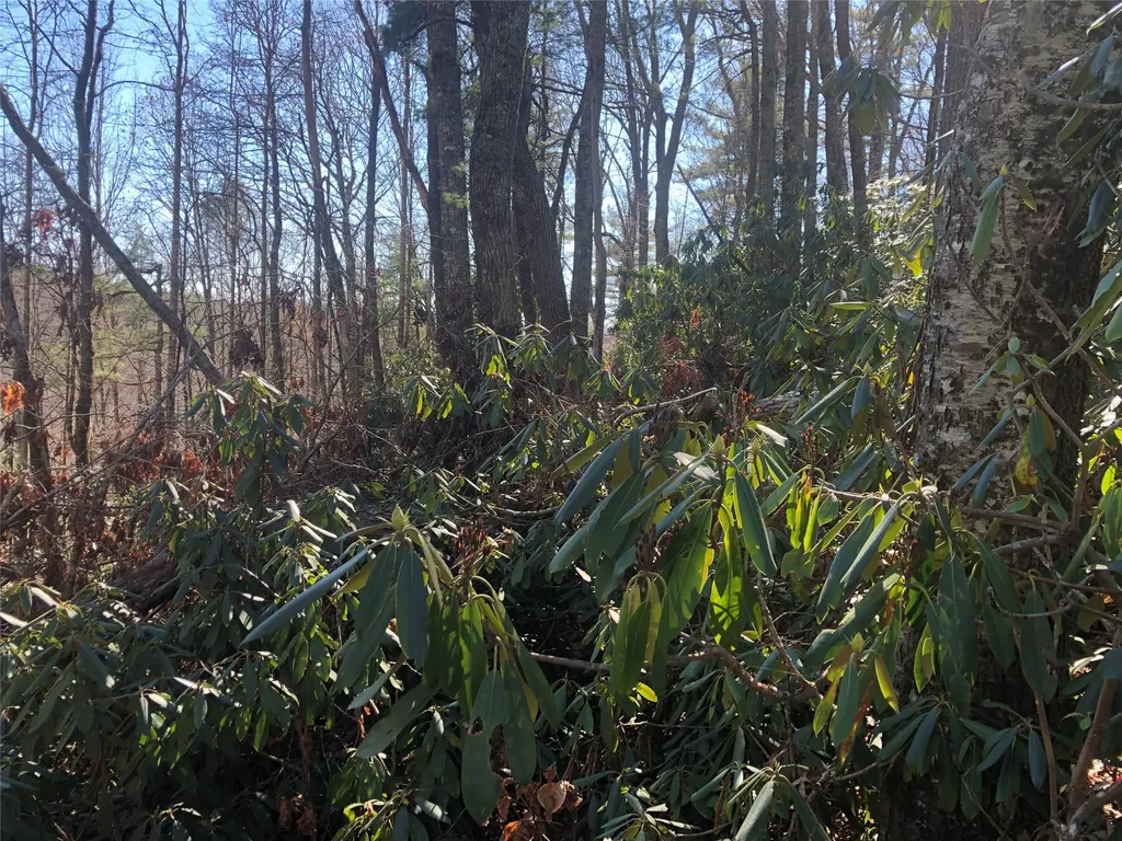 51 Cherokee Trace Cashiers NC 28717