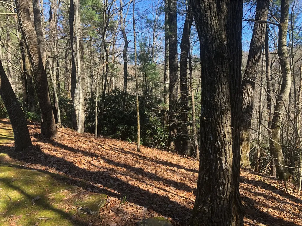 51 Cherokee Trace Cashiers NC 28717