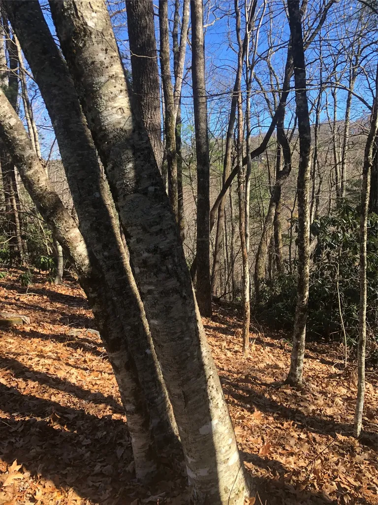 51 Cherokee Trace Cashiers NC 28717