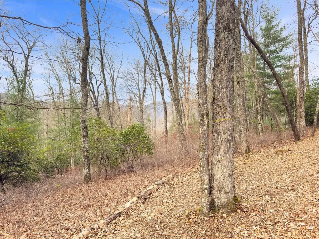 Lt 79 Tuttle Mink Trail Sapphire NC 28774