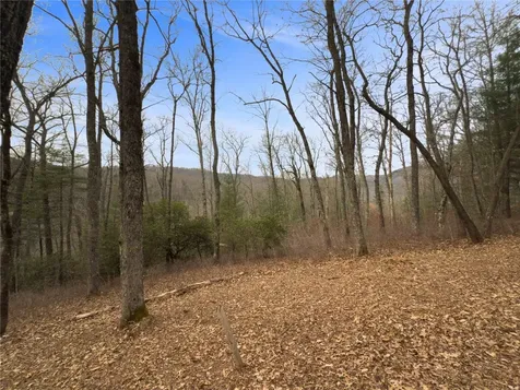 Lt 79 Tuttle Mink Trail Sapphire NC 28774