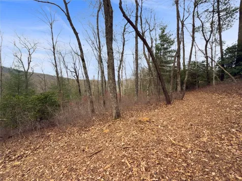 Lt 79 Tuttle Mink Trail Sapphire NC 28774