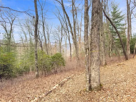 Lt 79 Tuttle Mink Trail Sapphire NC 28774