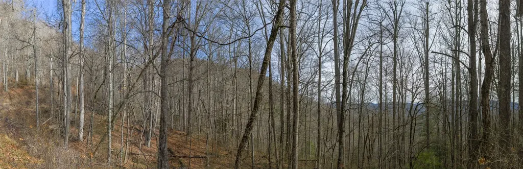 N/a Hunter Jim Creek Road Cullowhee NC 28723