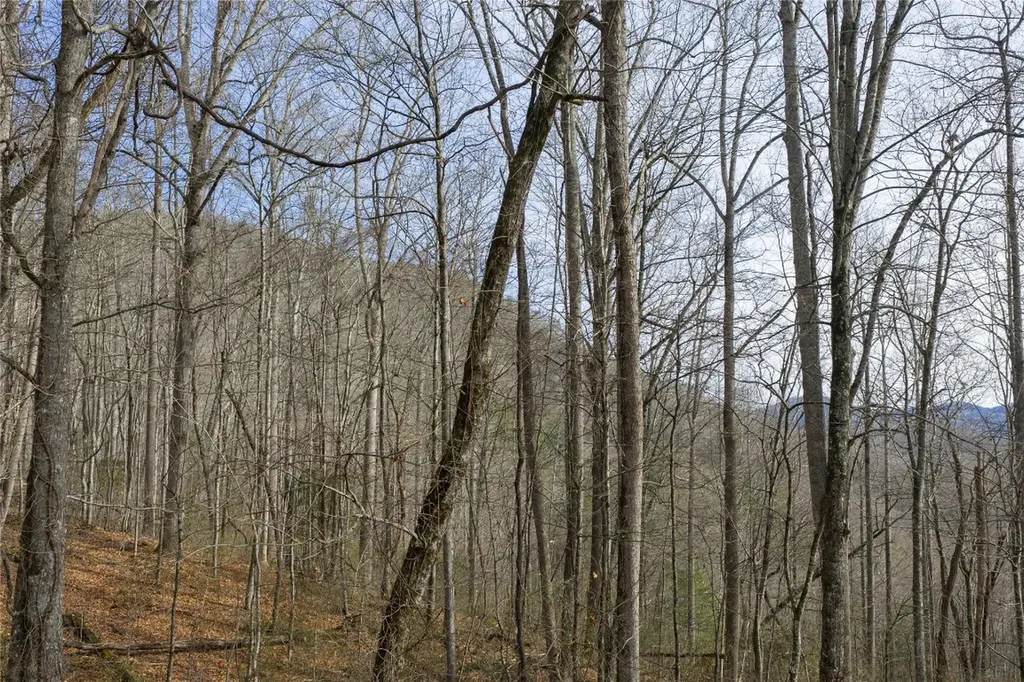 N/a Hunter Jim Creek Road Cullowhee NC 28723