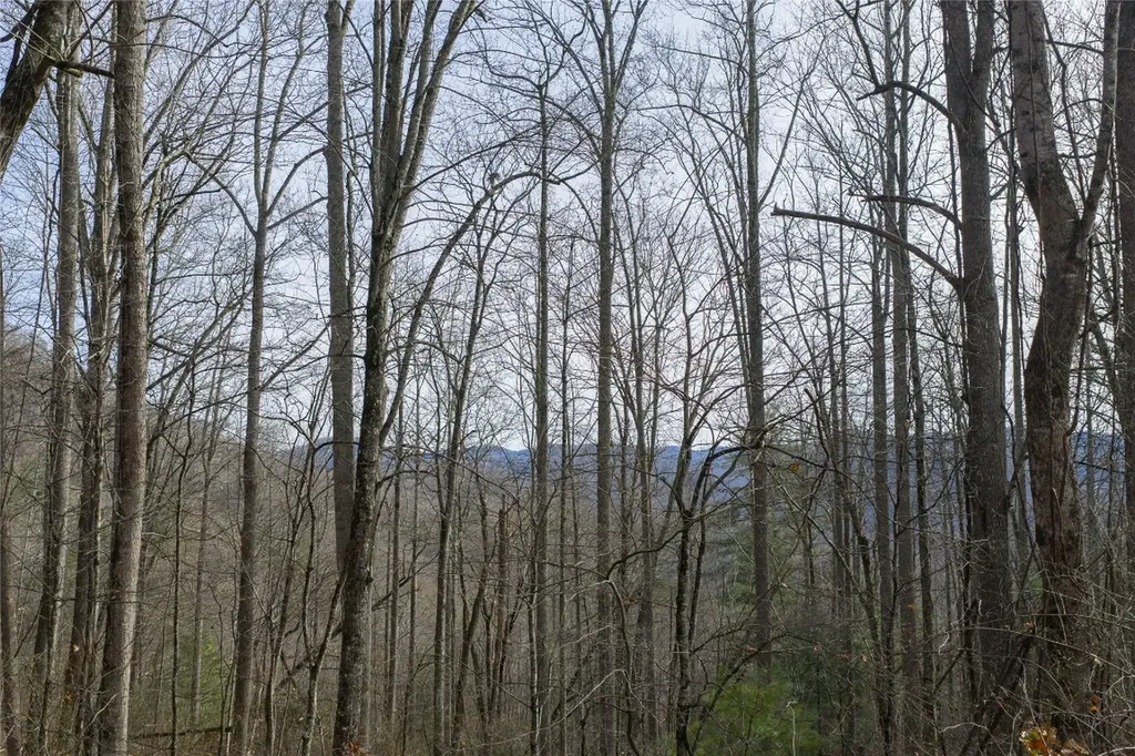 N/a Hunter Jim Creek Road Cullowhee NC 28723