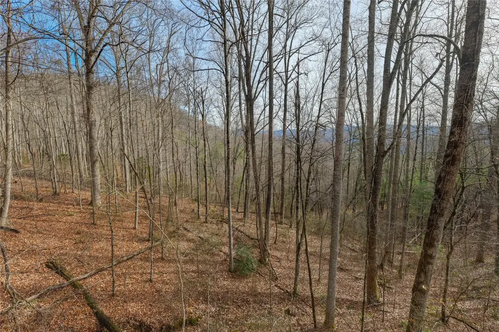 N/a Hunter Jim Creek Road Cullowhee NC 28723