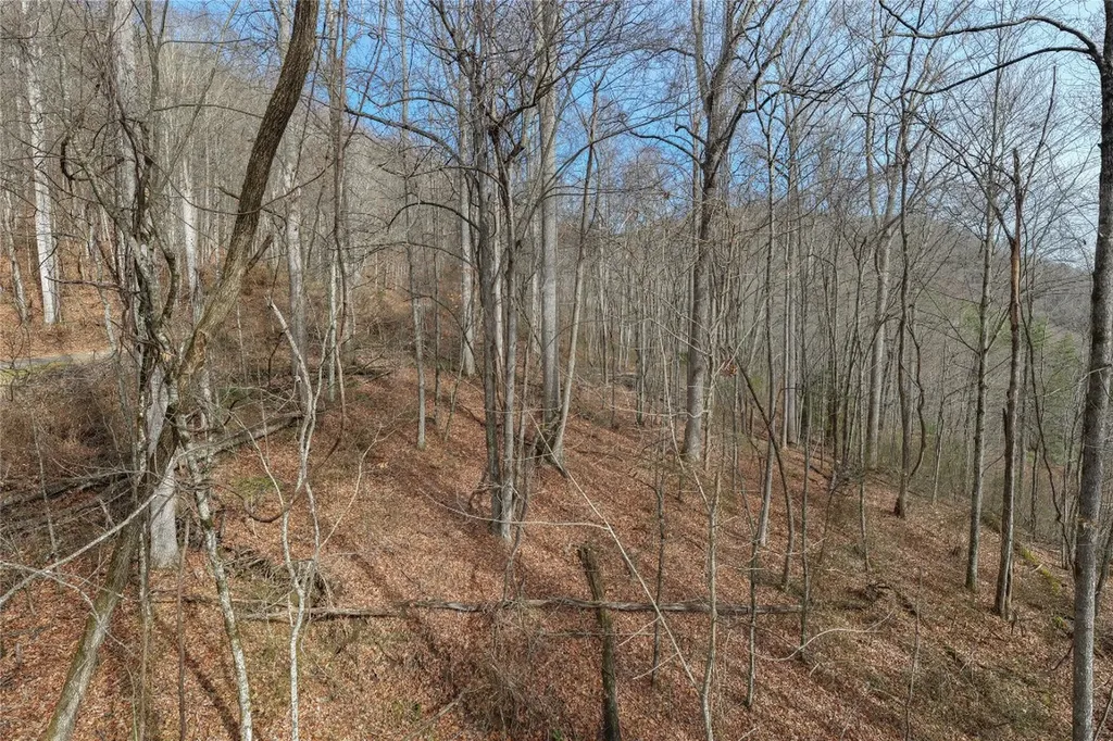 N/a Hunter Jim Creek Road Cullowhee NC 28723