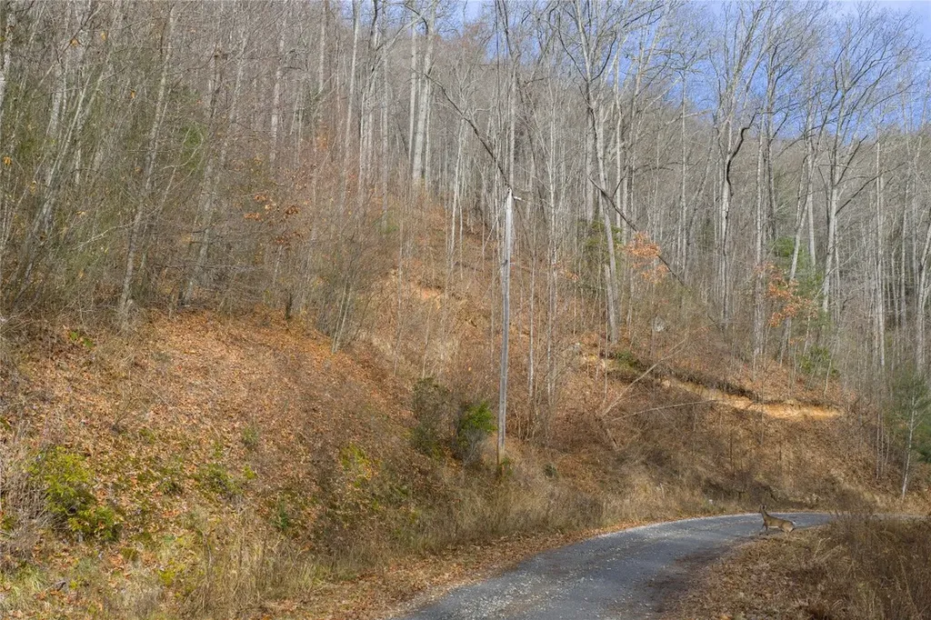 N/a Hunter Jim Creek Road Cullowhee NC 28723