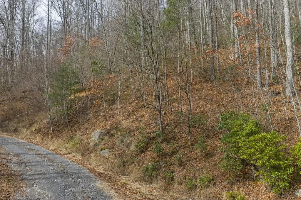 N/a Hunter Jim Creek Road Cullowhee NC 28723