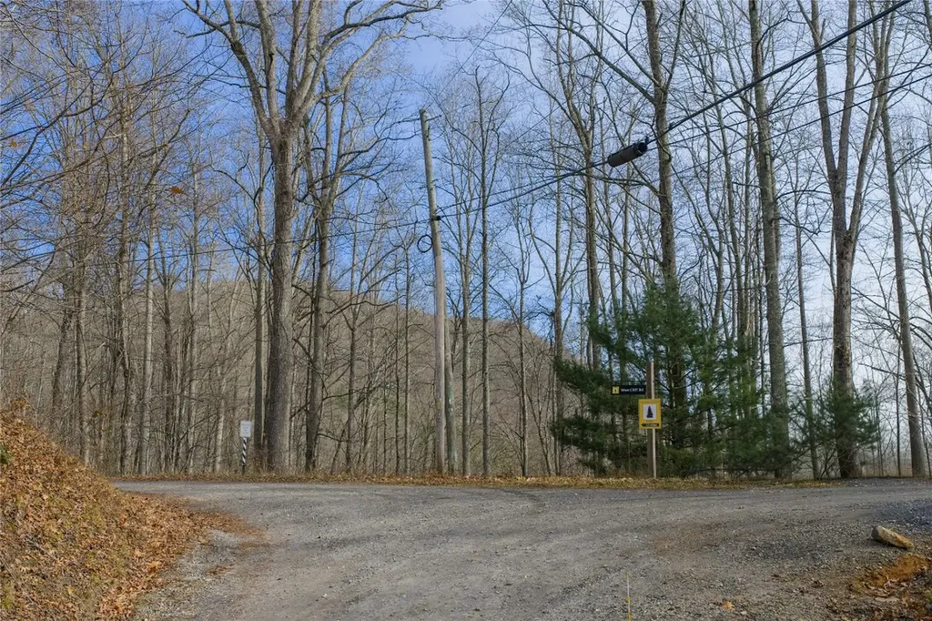 N/a Hunter Jim Creek Road Cullowhee NC 28723