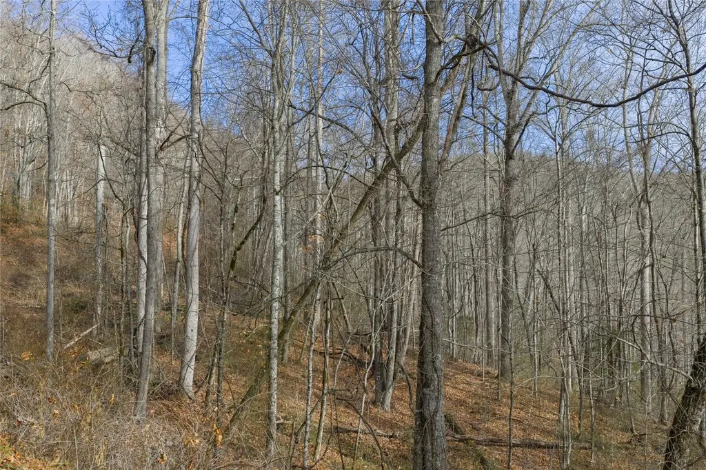 N/a Hunter Jim Creek Road Cullowhee NC 28723