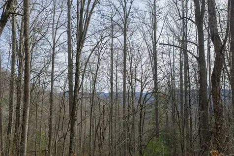 N/a Hunter Jim Creek Road Cullowhee NC 28723