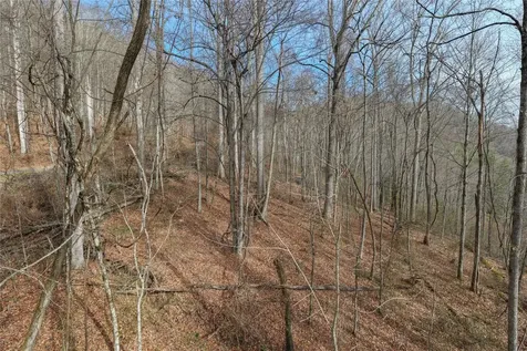 N/a Hunter Jim Creek Road Cullowhee NC 28723