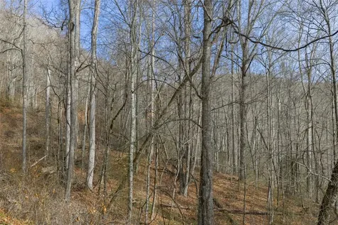 N/a Hunter Jim Creek Road Cullowhee NC 28723