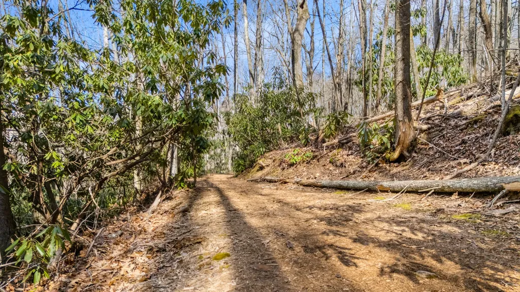 517 Joshs Trail Cashiers NC 28717