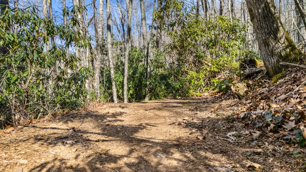 517 Joshs Trail Cashiers NC 28717