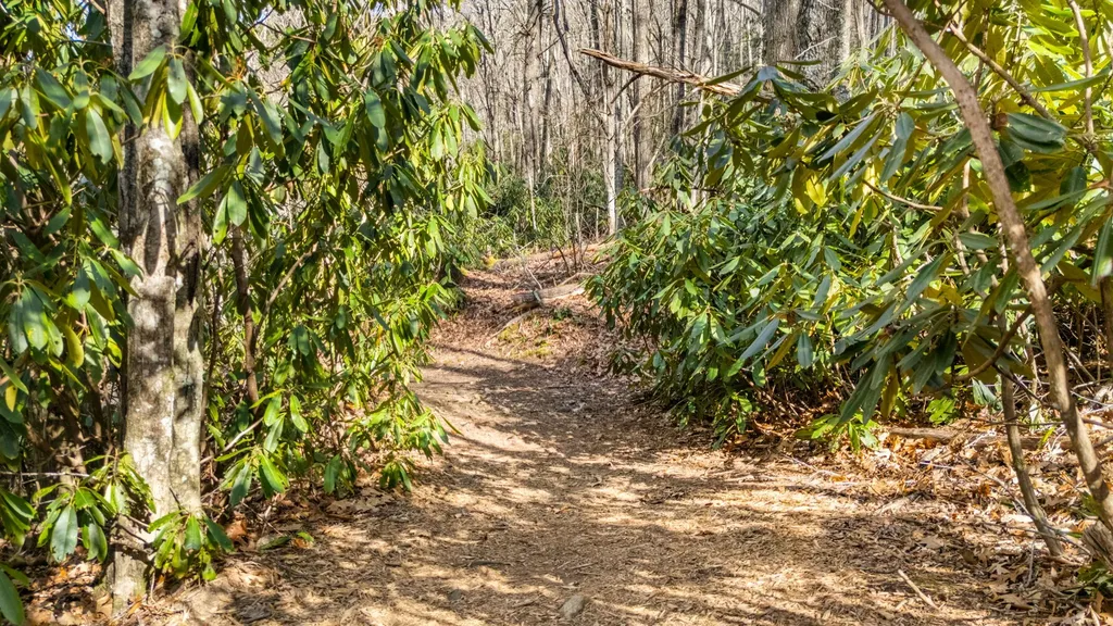 517 Joshs Trail Cashiers NC 28717