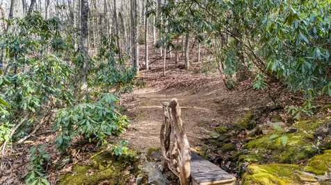 517 Joshs Trail Cashiers NC 28717