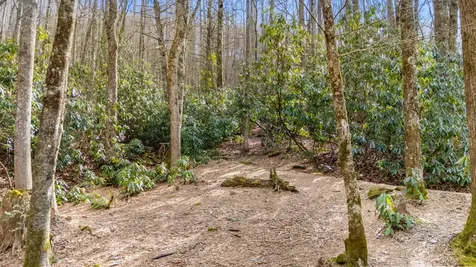 517 Joshs Trail Cashiers NC 28717