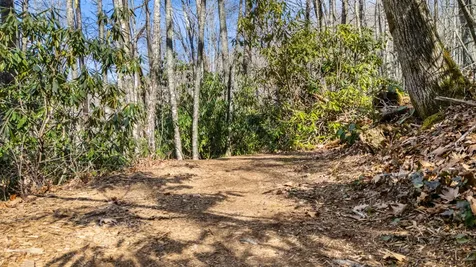 517 Joshs Trail Cashiers NC 28717